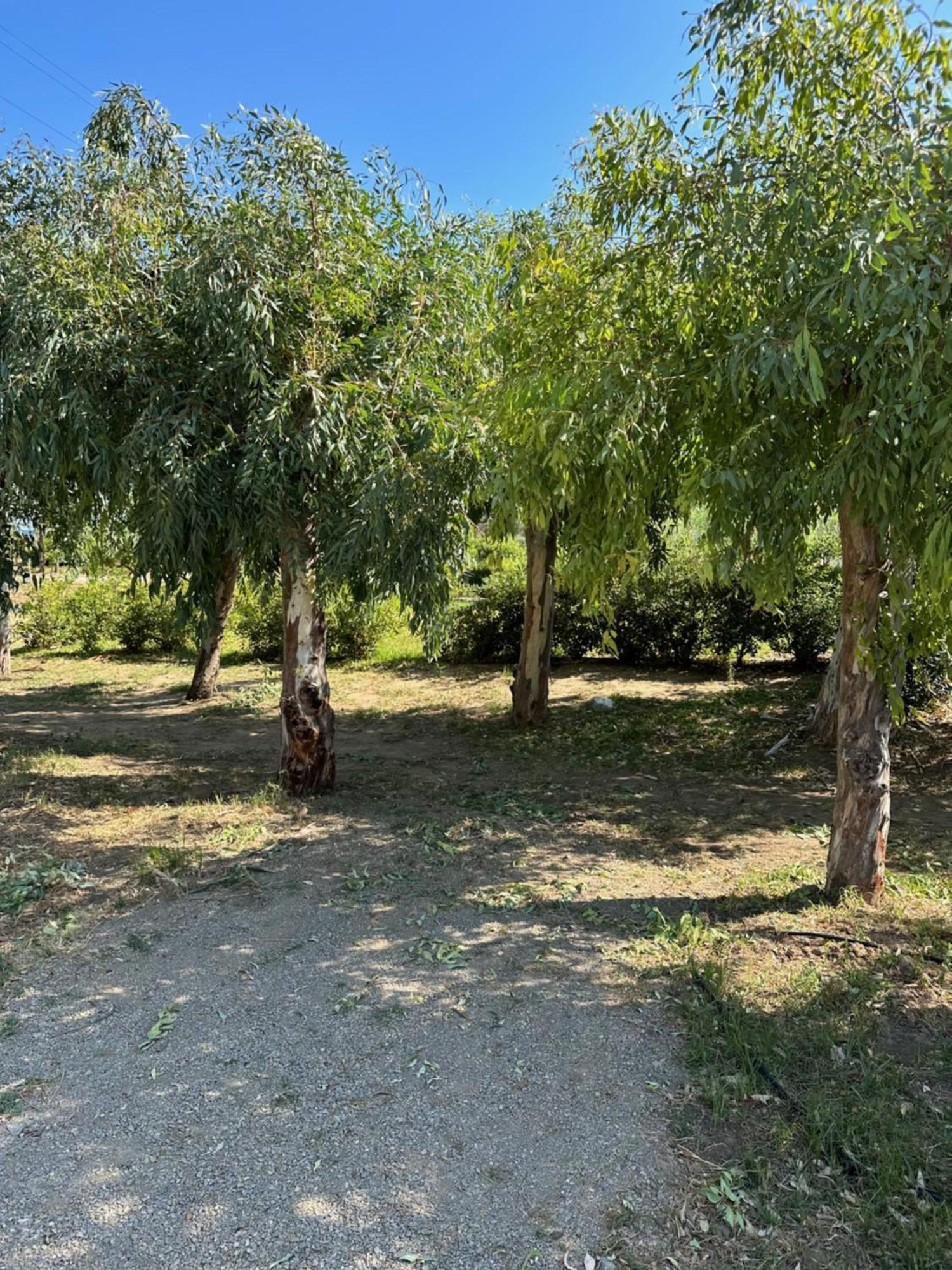 Villa Memi Cefalù Dış mekan fotoğraf