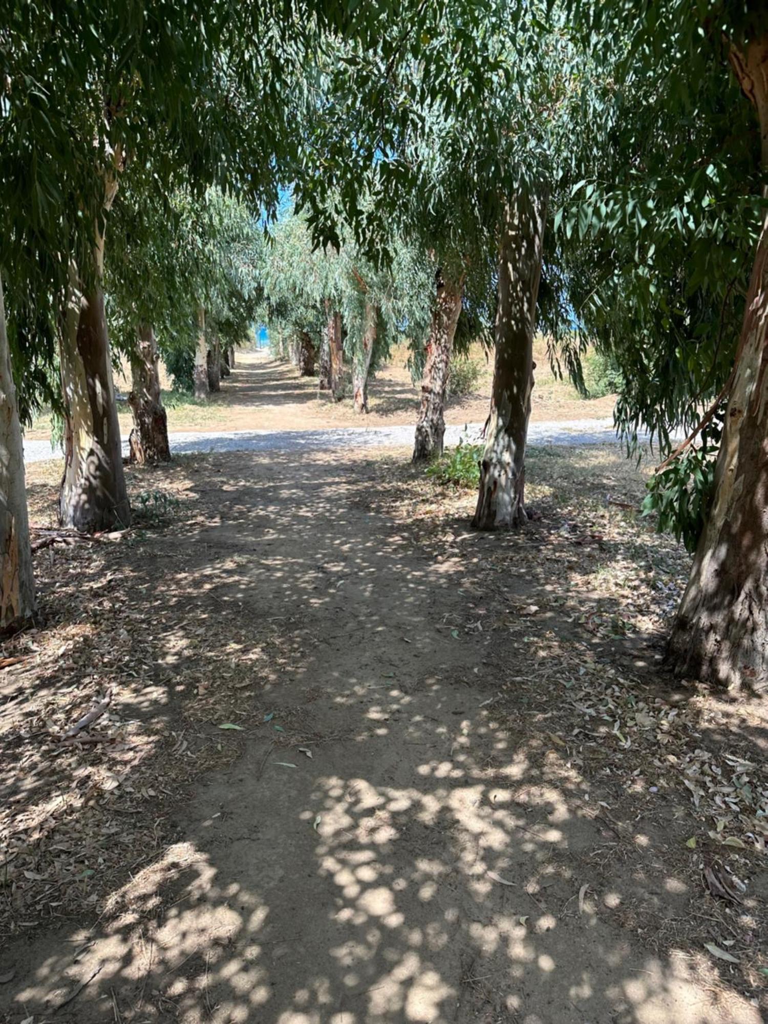 Villa Memi Cefalù Dış mekan fotoğraf